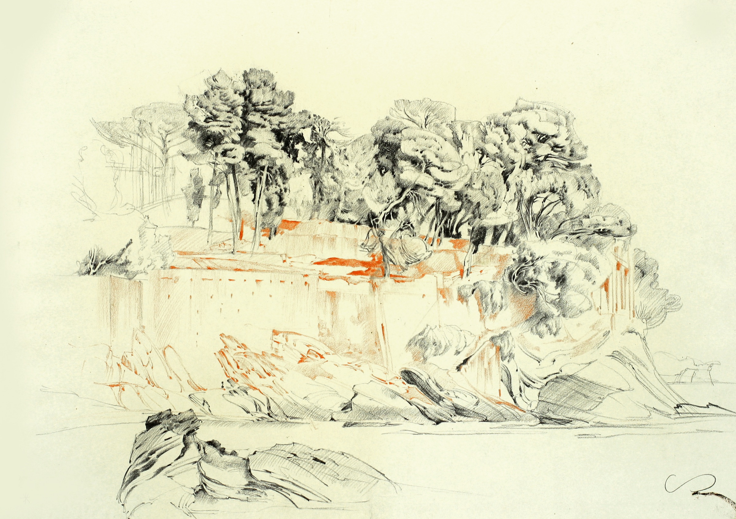 Pines on the Rocky Coast