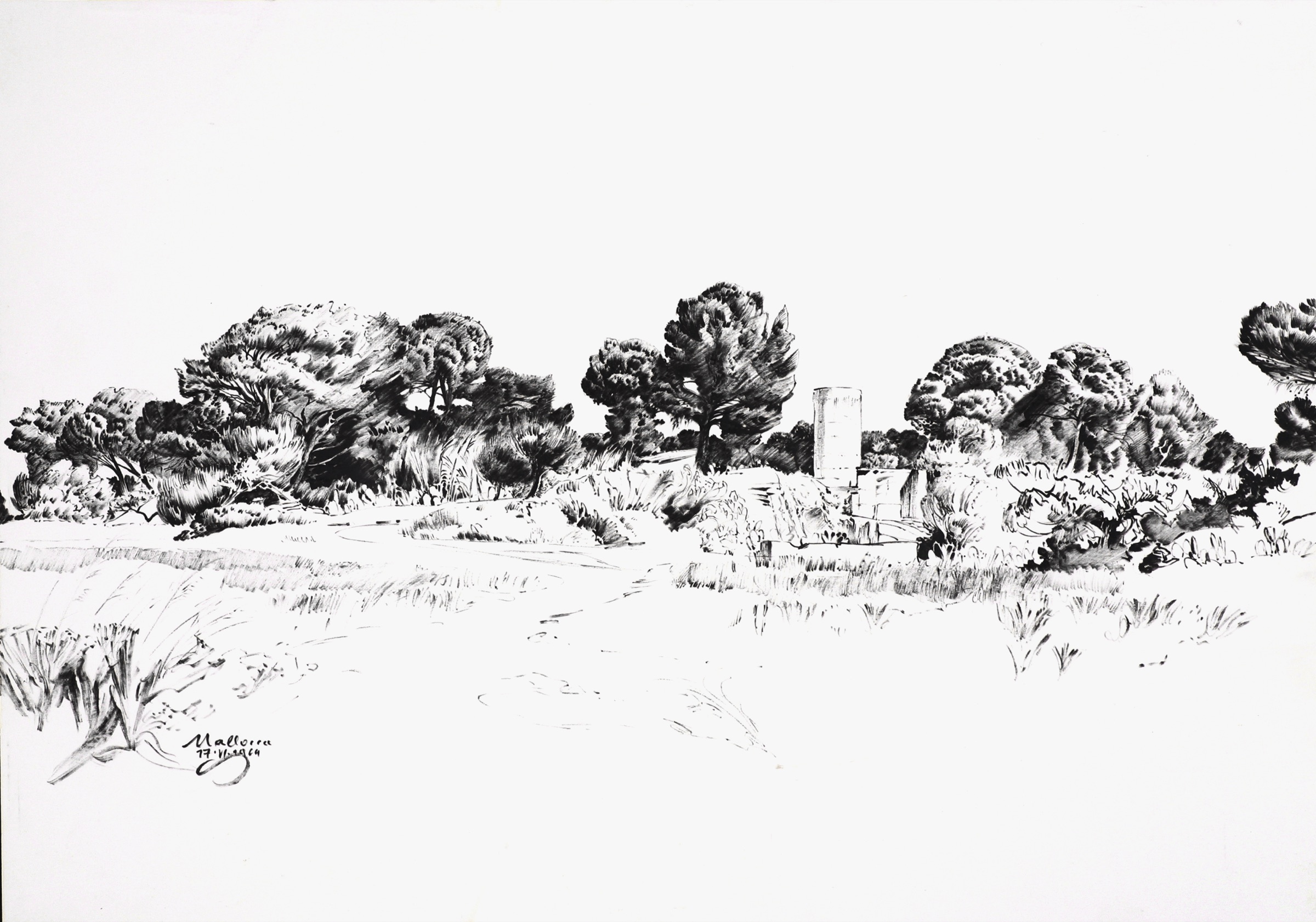 Pine Grove on Mallorca