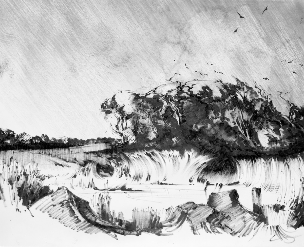 Landscape