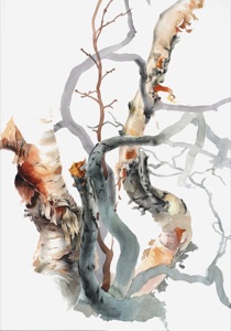 Birch in the Tundra