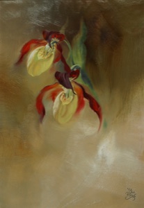Frauenschuh