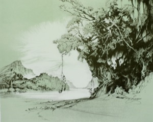 Port St. Johns