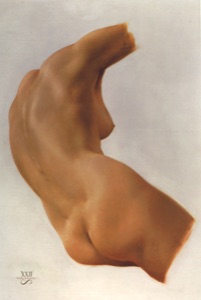 Torso Lilly