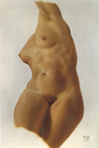 Torso Lilly