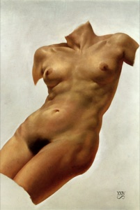 Torso Lilly