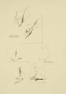 Schwingen