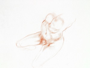 Torso
