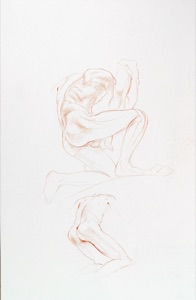 Männlicher Torso