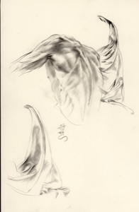 Back Nude with Draped Cloth