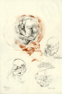 Embryop, 4 Studienskizzen