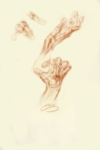 Hand and Finger Studies