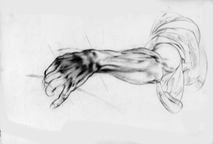 Arm Study for the Grim Reaper