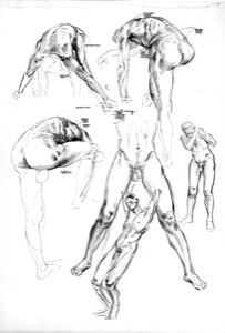 Bewegungs-Studien 1