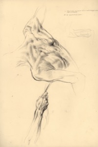 Parzen Cloth: Back Nude and Arm