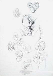Embryos, Studienszizzen