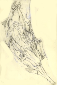 Rising from the Root Tangle
