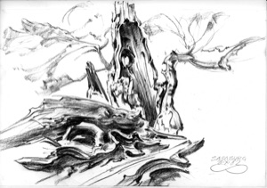 Saraburg, Baumleiche, 2