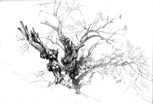 Bare Tree