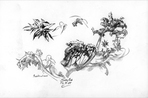 Soglio - früchteschwer, 1