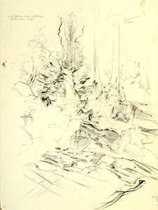 Wasserstudie, Waldbach zwischen Felsen