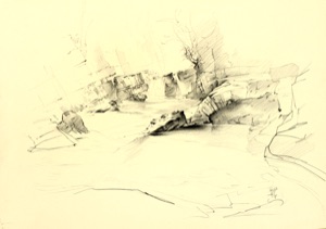 Water Study, Stream between Rocky Banks