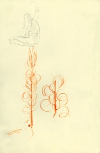 Samenflaum