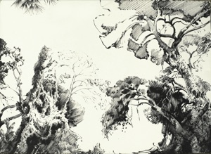 Treetops, View into the