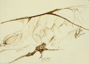 Branch Study