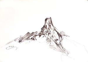 Holzstudie
