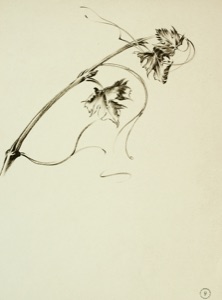 Vine with Leaves