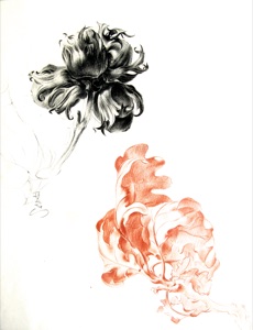 Blossom and Leaf