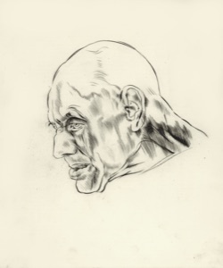 Male Head for “Ostracism”