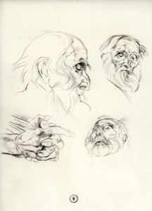 Old Man, Portrait Studies