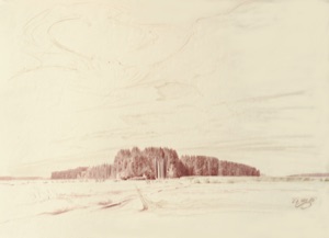 Wörishofen, Forest Edge near