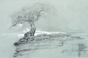 Nordic Tree