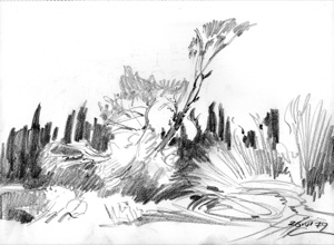 Bushes and Small Trees