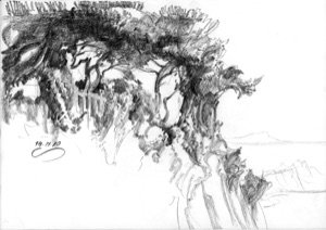 Group of Trees on Coastal Rocks