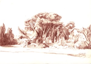 Ceyreste, Group of Trees nearby