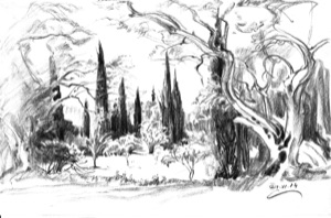 Cypresses and Olive Trees