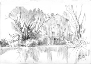 House among Bushes