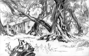 House under Trees