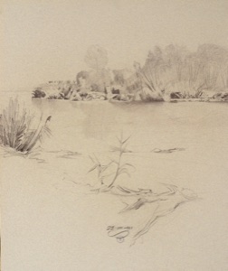 Aulandschaft