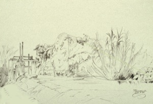 Tuscania, Trough by the Stream