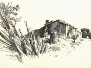 Farmstead with Agave Trunk