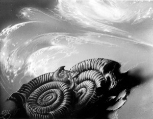 Kosmos: Schneckenhäuser