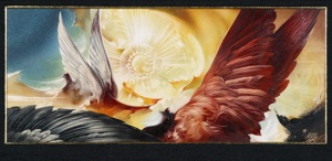 Wing Study