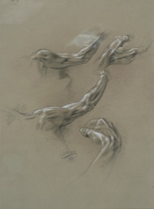 Hand and Arm Studies