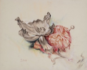 Blüten