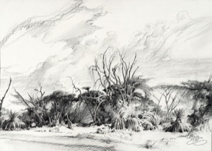 In Kenia