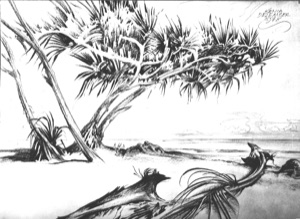 Tree on the Beach